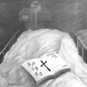 啊灬嫲灬把腿抬起来嫲软件
